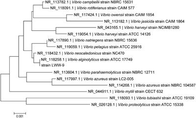 Characterization of a Hyaluronic Acid Utilization Locus and Identification of Two Hyaluronate Lyases in a Marine Bacterium Vibrio alginolyticus LWW-9